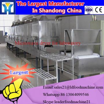 Microwave Vacuum Dryer for lab use