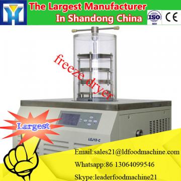 strawberry processing machine / food freeze dryers sale/dried fruits equipment