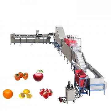 Factory Hot Sale Juice Hand Machine 100% Fresh Fruit Juice Production Line Machine