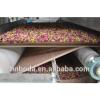 Rose Bud Hot Air Assistated Microwave Drying Machine #1 small image
