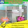 Continuous type Curcuma longa/turmeric microwave blanching machine #1 small image