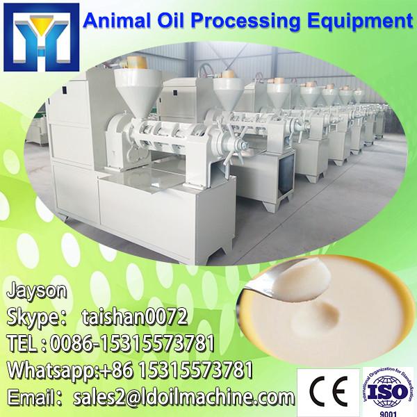 Famous 10-300TPD Palm fruit oil processing plant/Palm fruit oil extraction machine #1 image