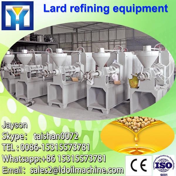 Dinter 30TPD refined sunflower cooking oil plant #3 image