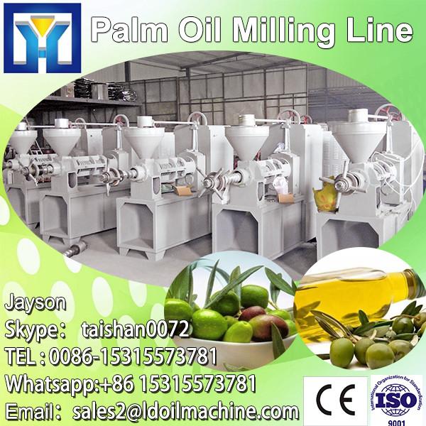 1-10TPH palm fruit bunch oil pressing machine #1 image