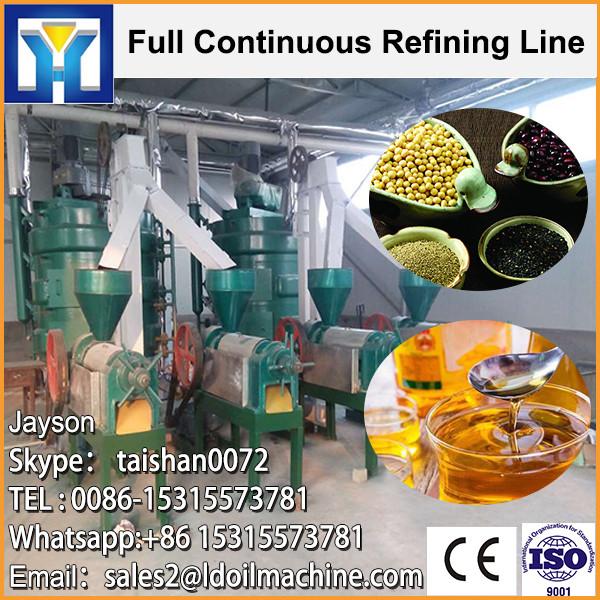 Zhengzhou LD 100TPD palm fruit oil press machine #1 image