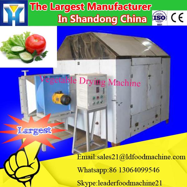 Jinan Manufacture Industrial Vegetable Drying Machine #1 image