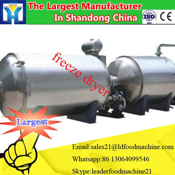 multifunctional sea food freeze drying equipment/sea cucumber freeze dryer machine/meat vacuum #1 image