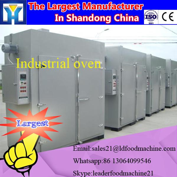 Professional Heat Pump Industrial Fruit Dryer Manufacturers #1 image