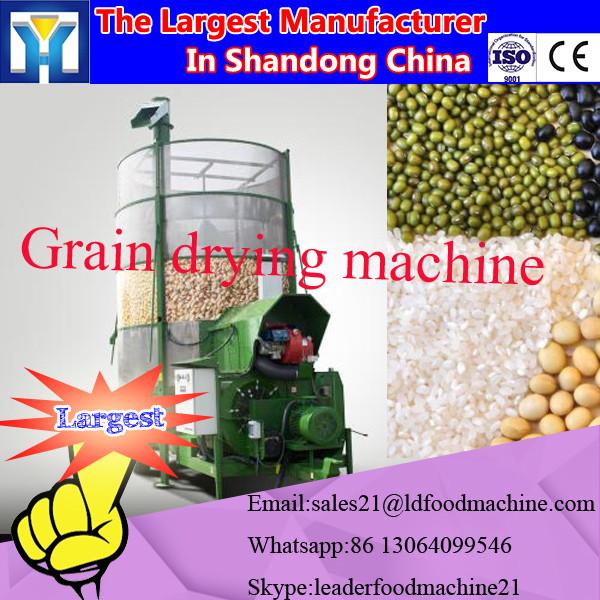 Industrial Microwave dryer for tomato powder / tomato powder drying machine #1 image