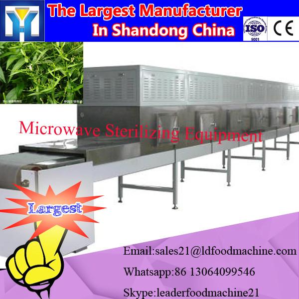 China new technology good effective purslane herbs powder microwave drying and sterilizing equipment #2 image