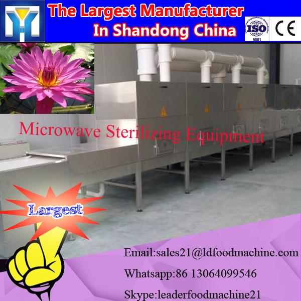 China new technology good effective purslane herbs powder microwave drying and sterilizing equipment #1 image