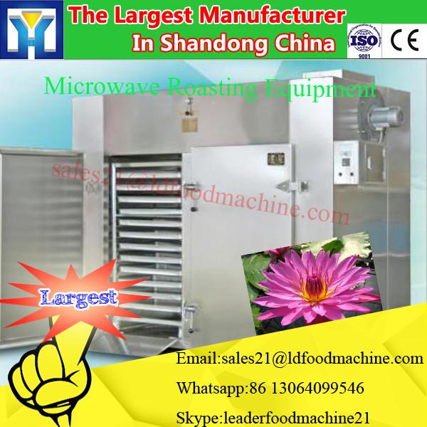 Continuous type Curcuma longa/turmeric microwave blanching machine #1 image