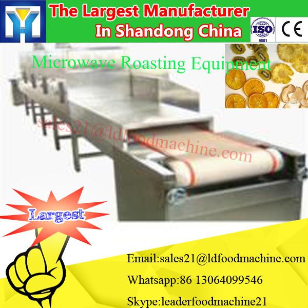 bamboo fungus continuous microwave drying machine #3 image