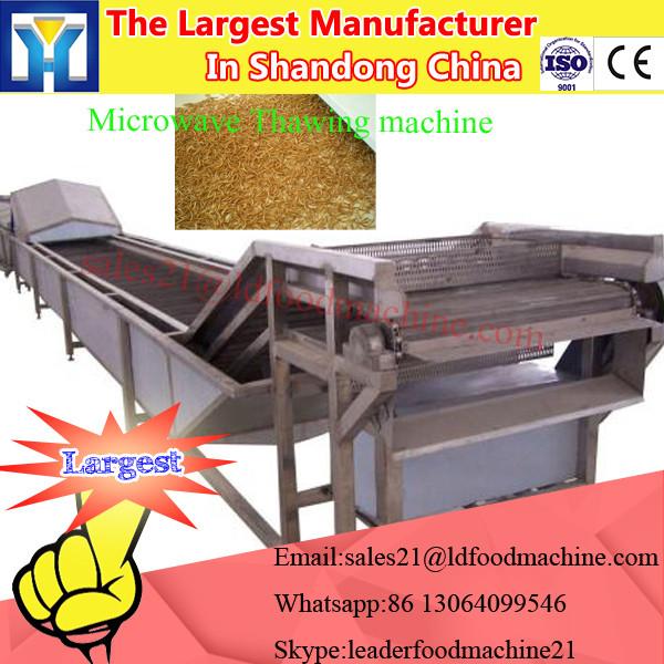 New design conveyor type chili /pepper seasoning microwave sterilization/sterilizing machine #3 image