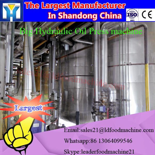 New technology palm oil extruder machine #1 image