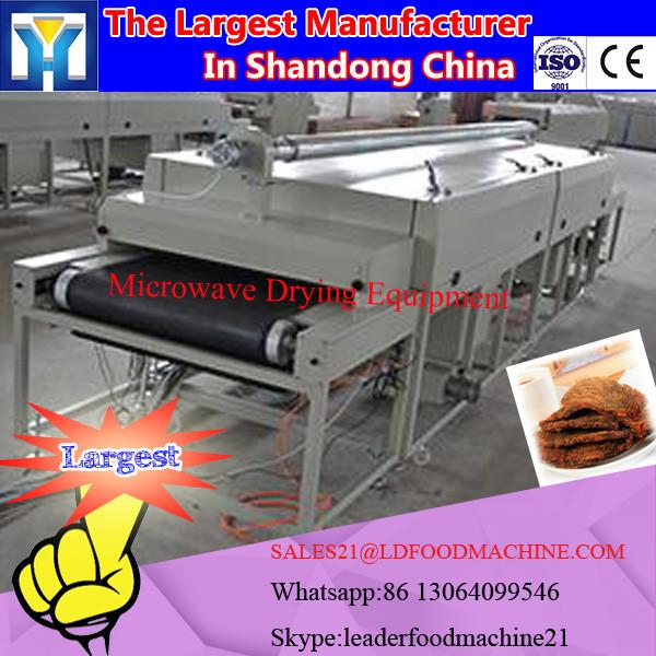 Microwave Mulberry leaves tea Drying Equipment #1 image