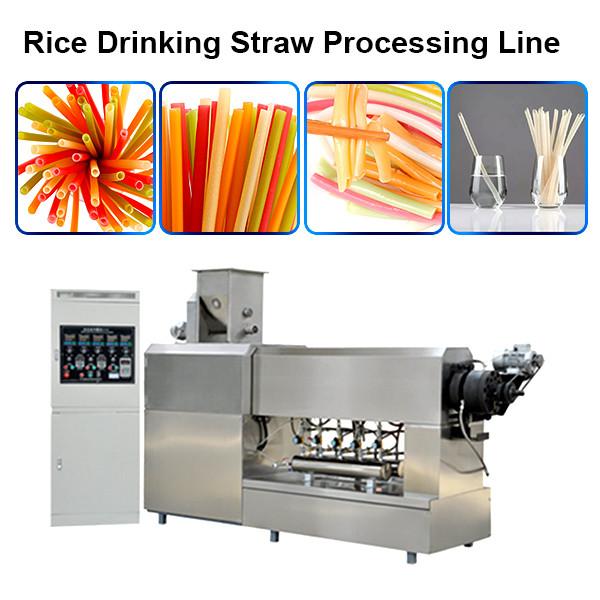 Biodegradable Edible Eco-Friendly Rice / Cassava Drinking Straws Machine #3 image