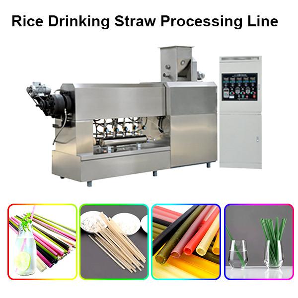 Factory Price PLA biodegradable Plastic Drinking Straw Extruder Making Machines #2 image
