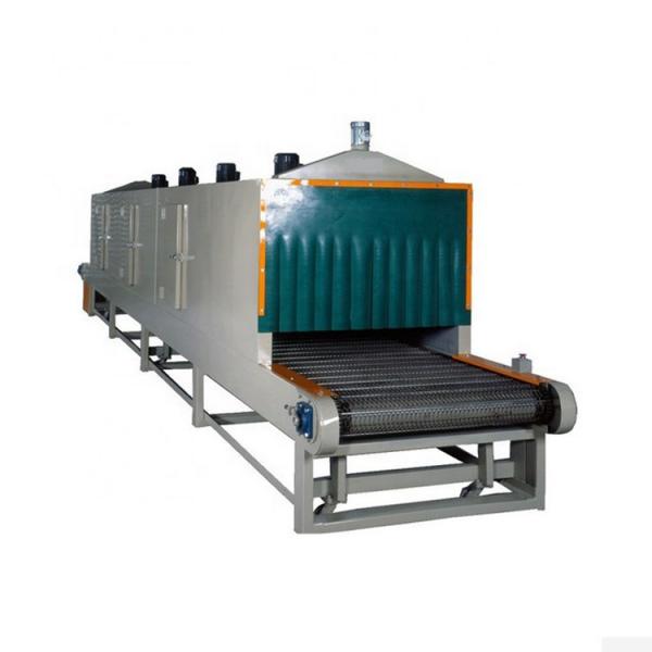 Industry Microwave Mesh Heating Belt Conveyor Dryer for Food/Medicine/Chemical Industry #2 image