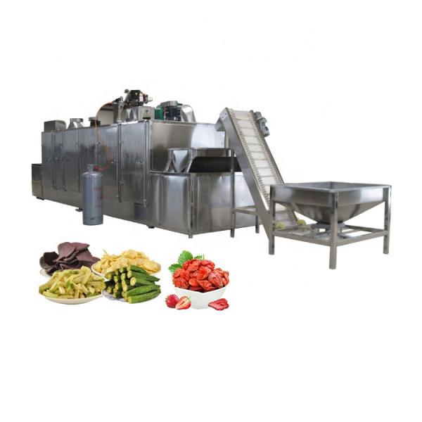 commercial dried date mango fruit and vegetable processing dehydrator drying machine production line #1 image