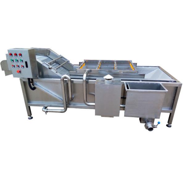 commercial dried date mango fruit and vegetable processing dehydrator drying machine production line #2 image